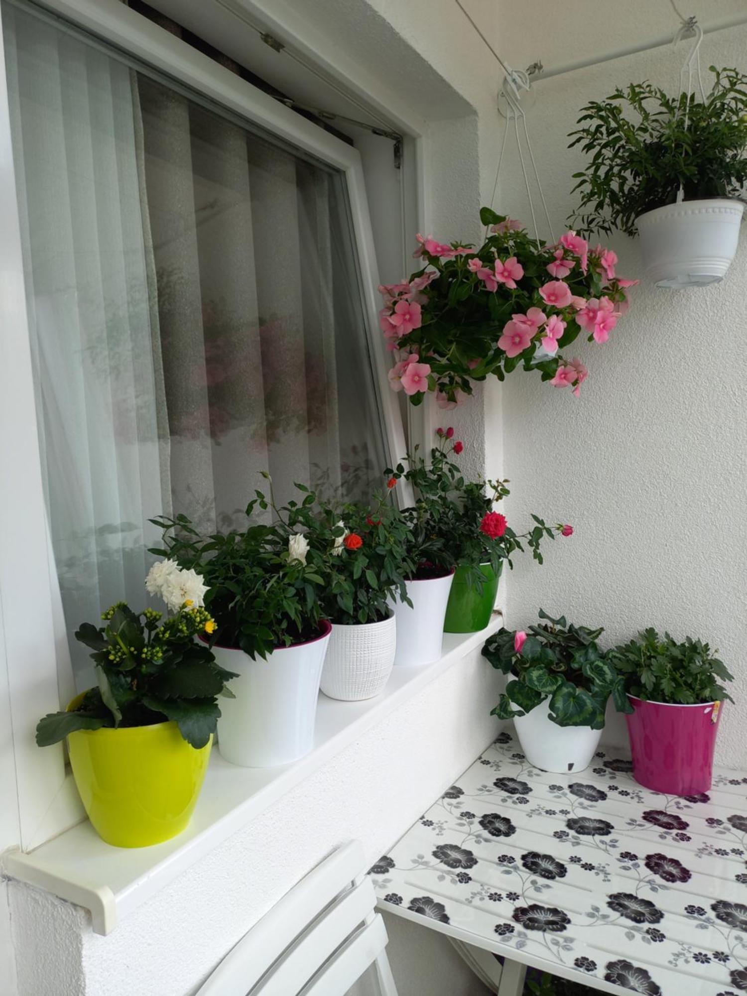Apartman Petra Lux Plužine Dış mekan fotoğraf