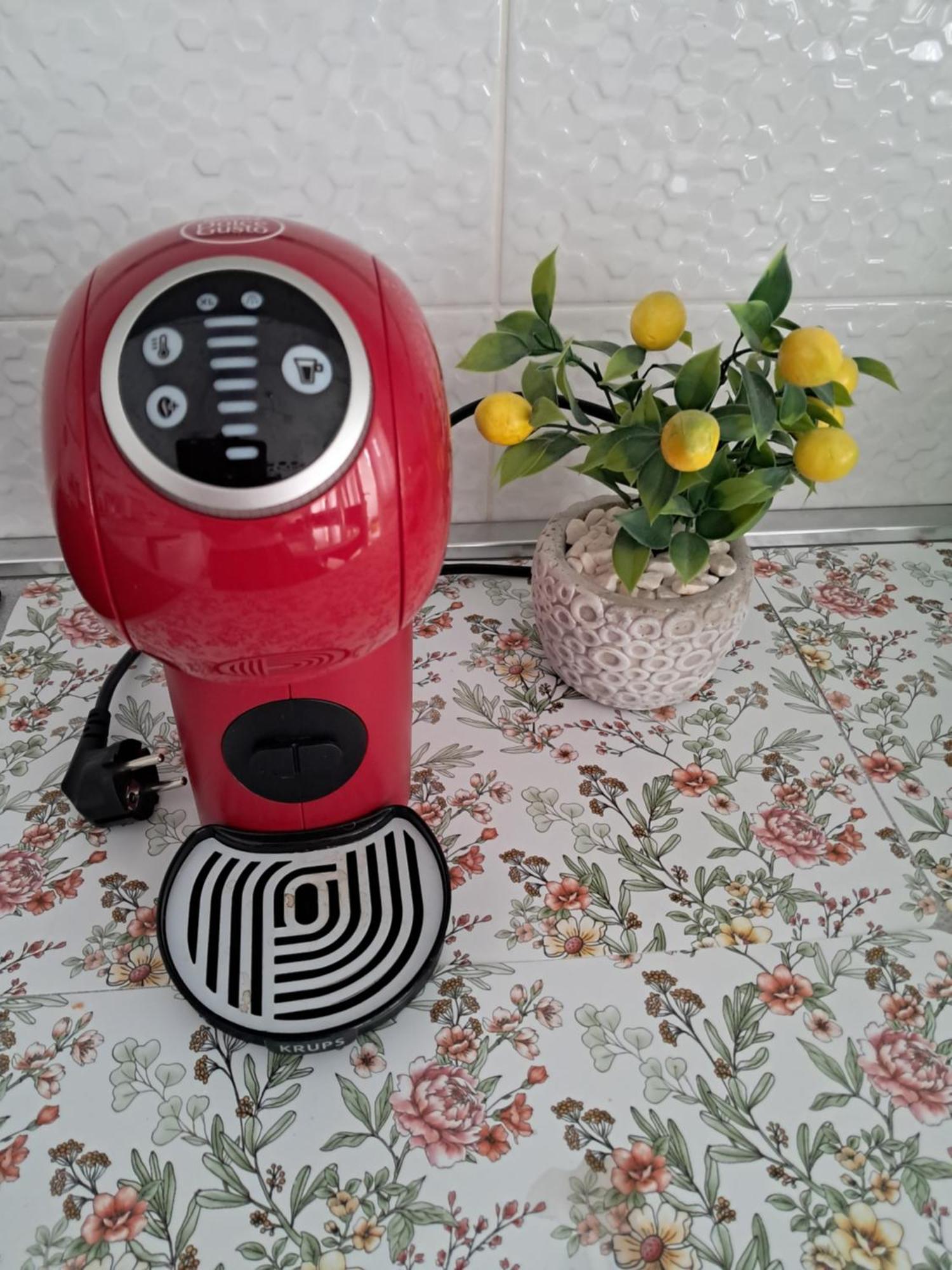 Apartman Petra Lux Plužine Dış mekan fotoğraf